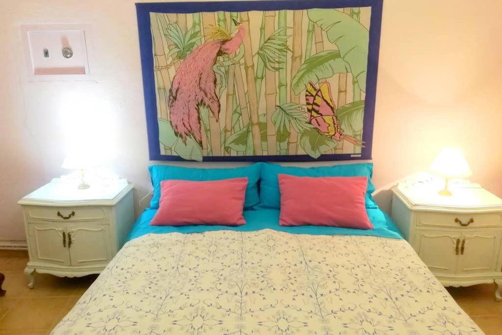 bonito apartamento centro onil Esterno foto